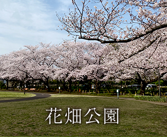 花畑公園