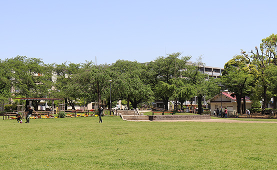 花畑公園